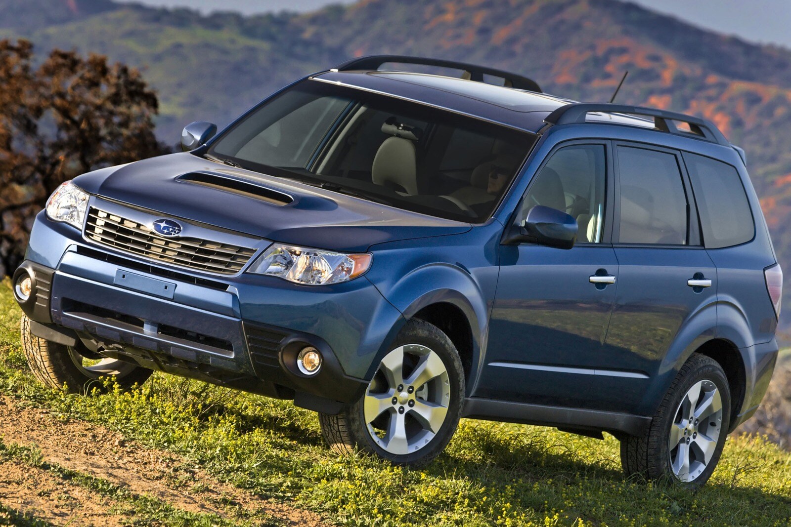 2013 Subaru Forester