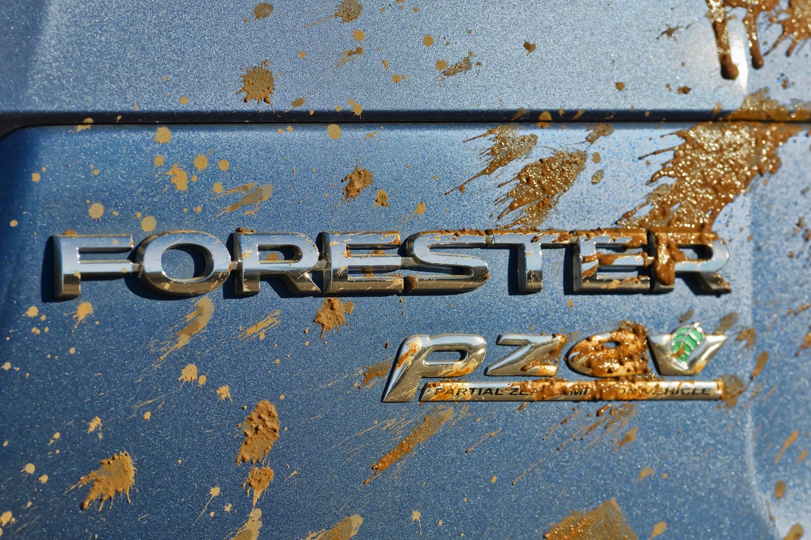 2015 Subaru Forester exterior RBDG