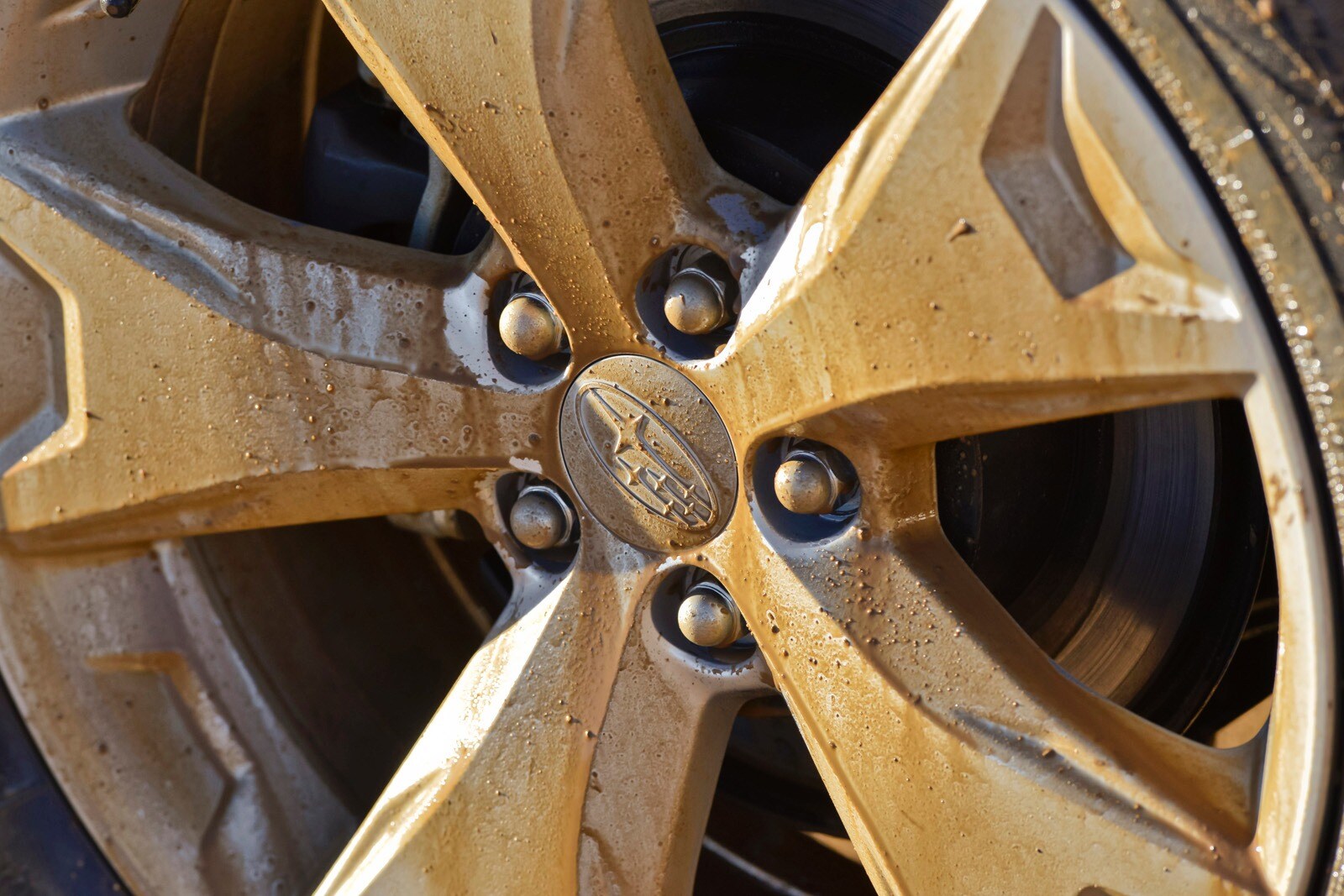 2015 Subaru Forester exterior W