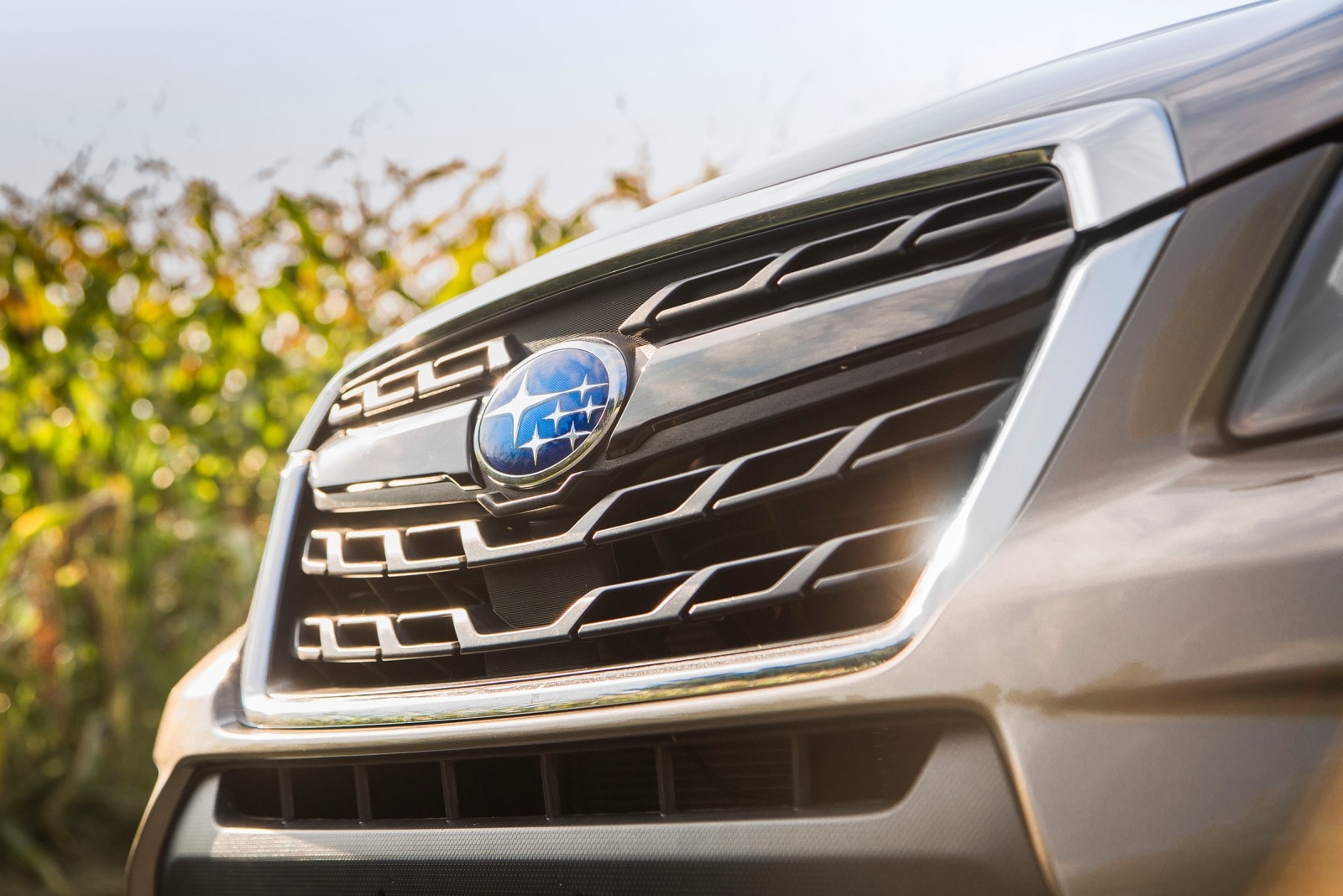 2017 Subaru Forester exterior FBDG