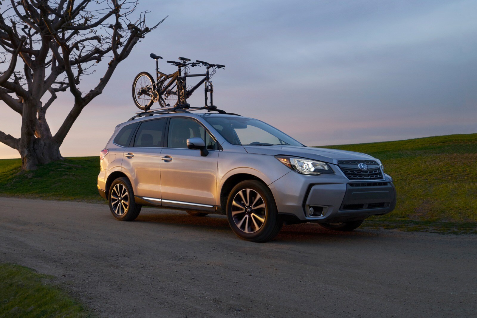 2017 Subaru Forester exterior LIFE1