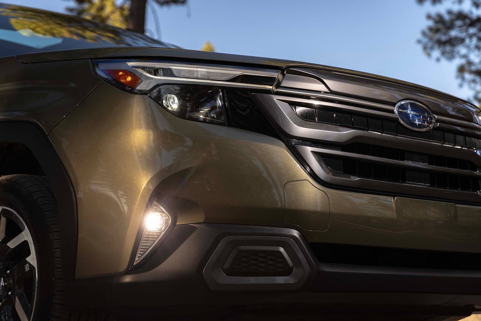 2025 Subaru Forester exterior EDETAIL