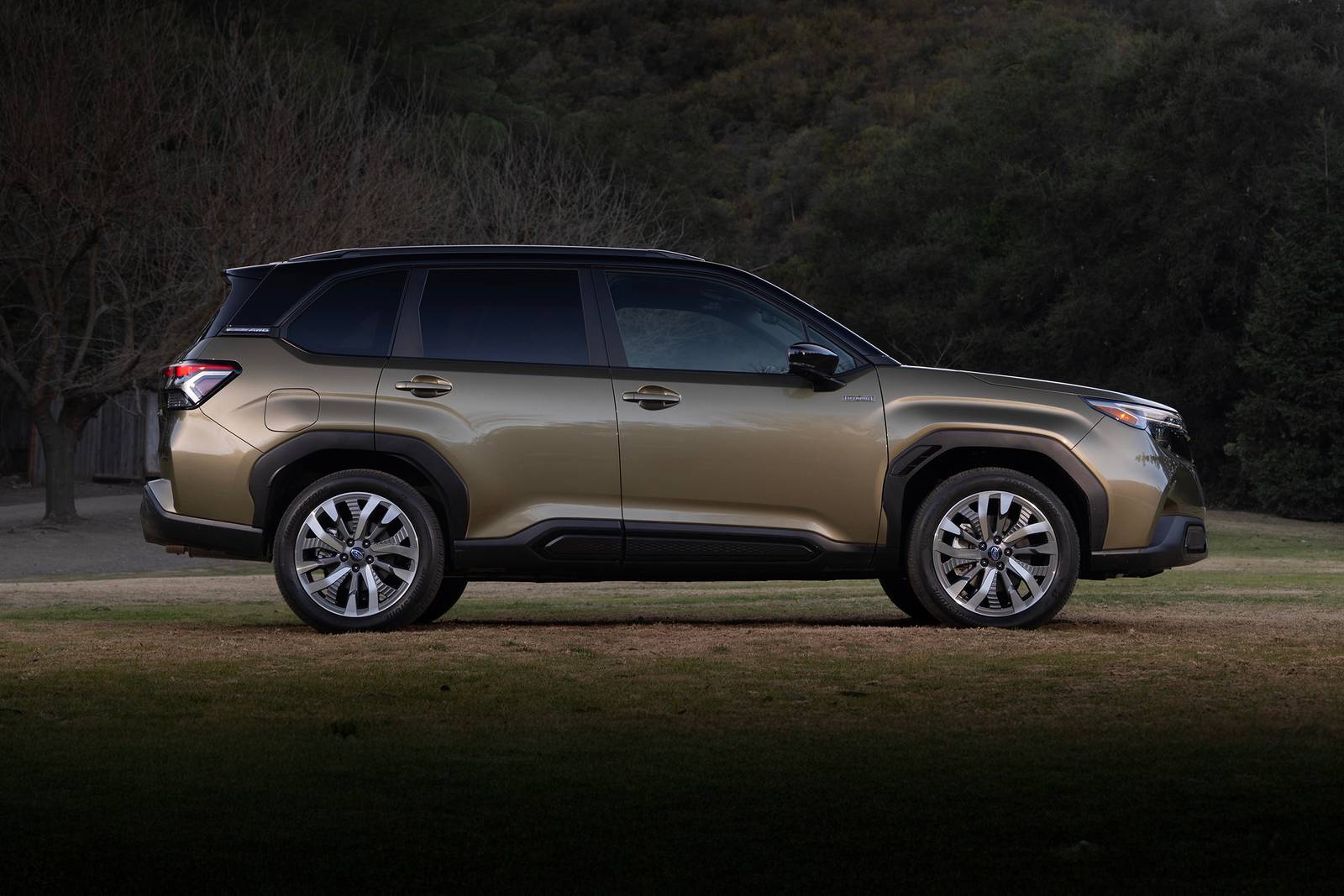 2025 Subaru Forester exterior S