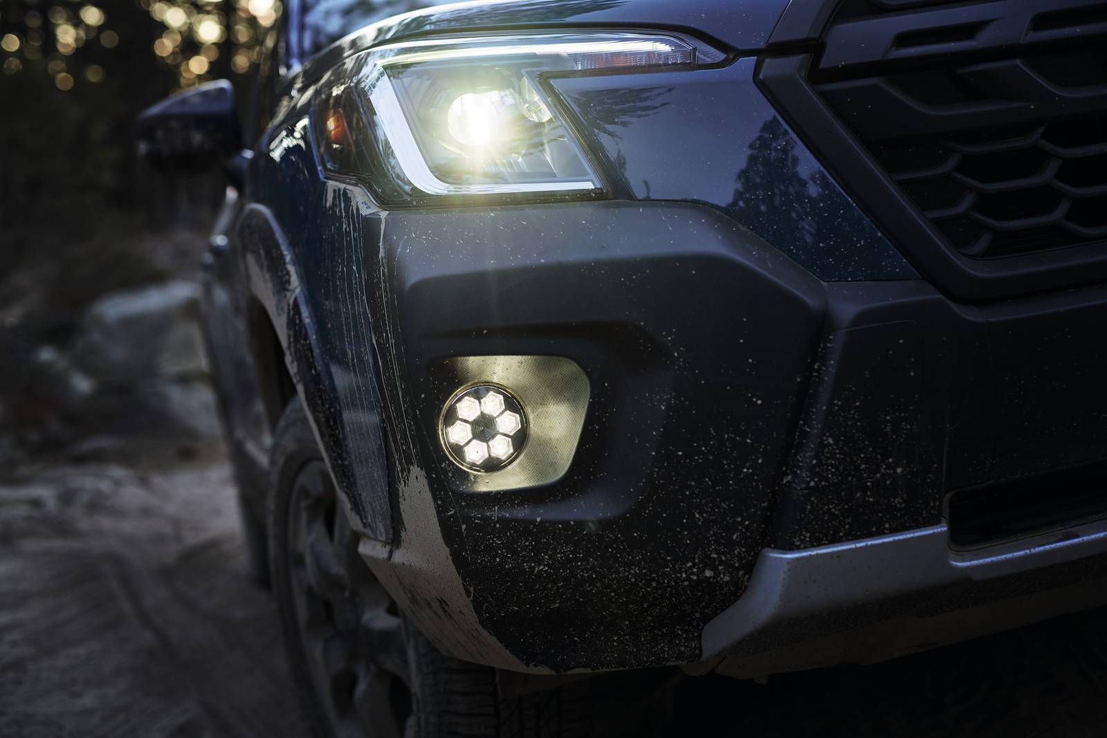 2025 Subaru Forester exterior EDETAIL