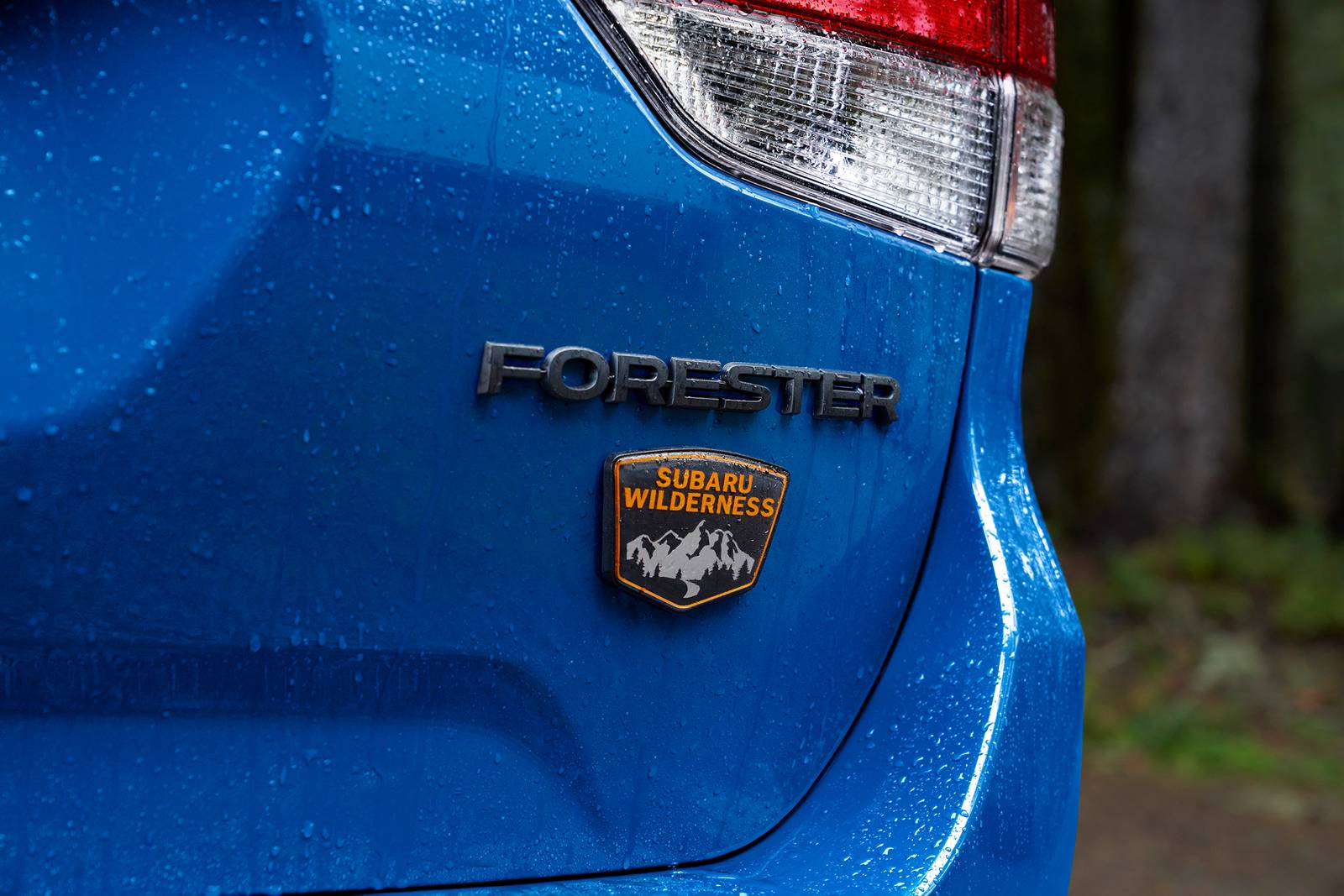 2025 Subaru Forester exterior RBDG