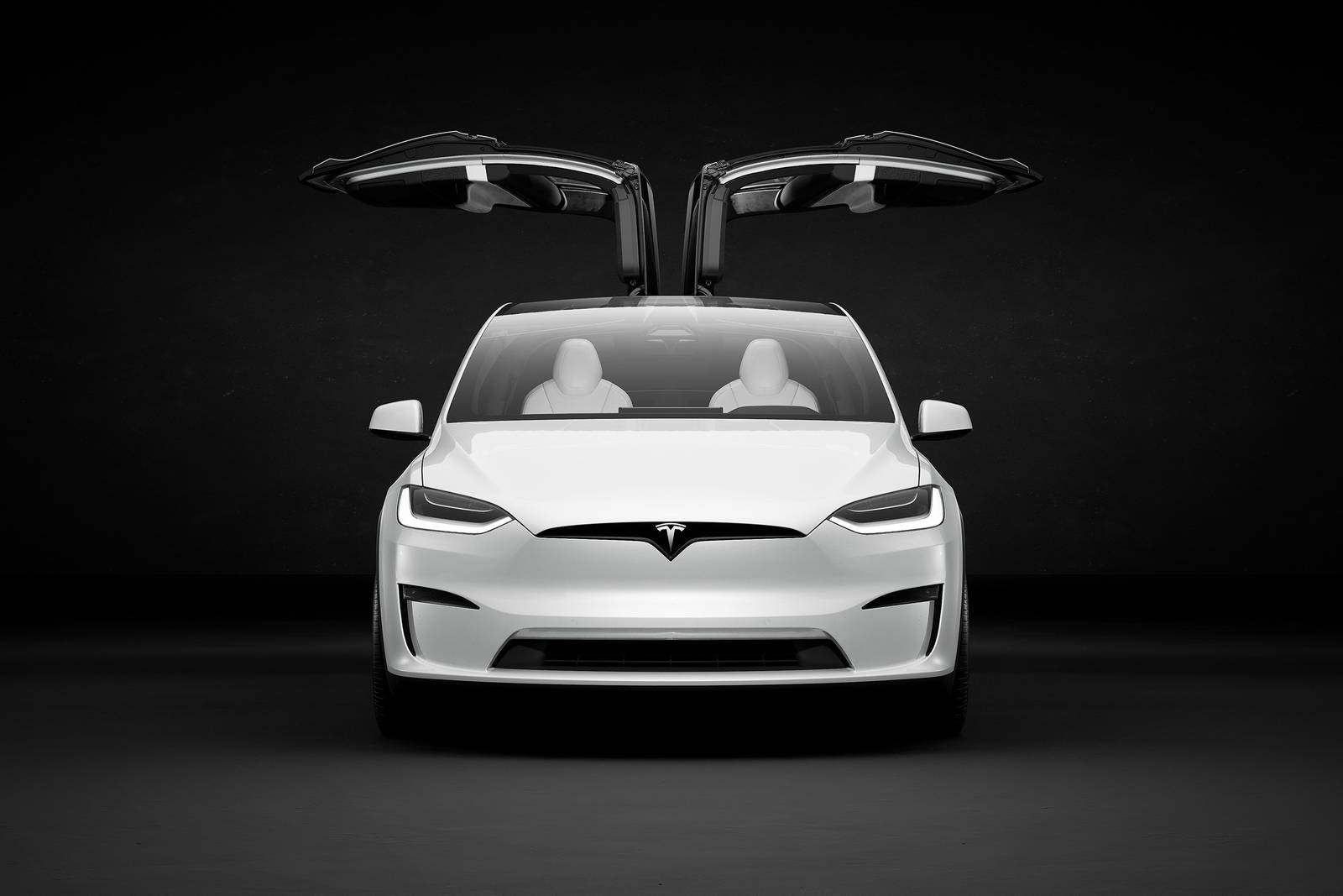 2020 Tesla Model X exterior F