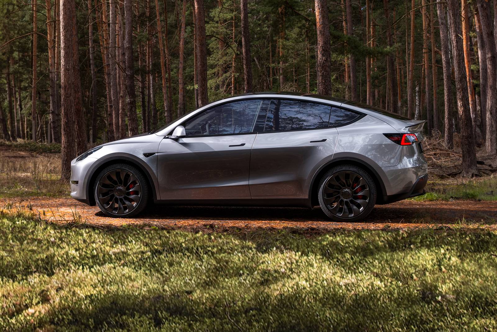 2025 Tesla Model Y exterior S