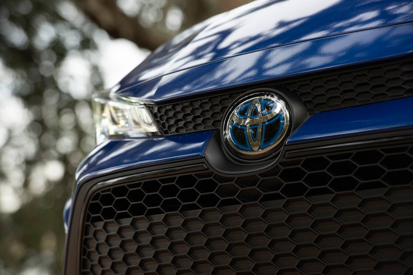 2020 Toyota Corolla exterior FBDG