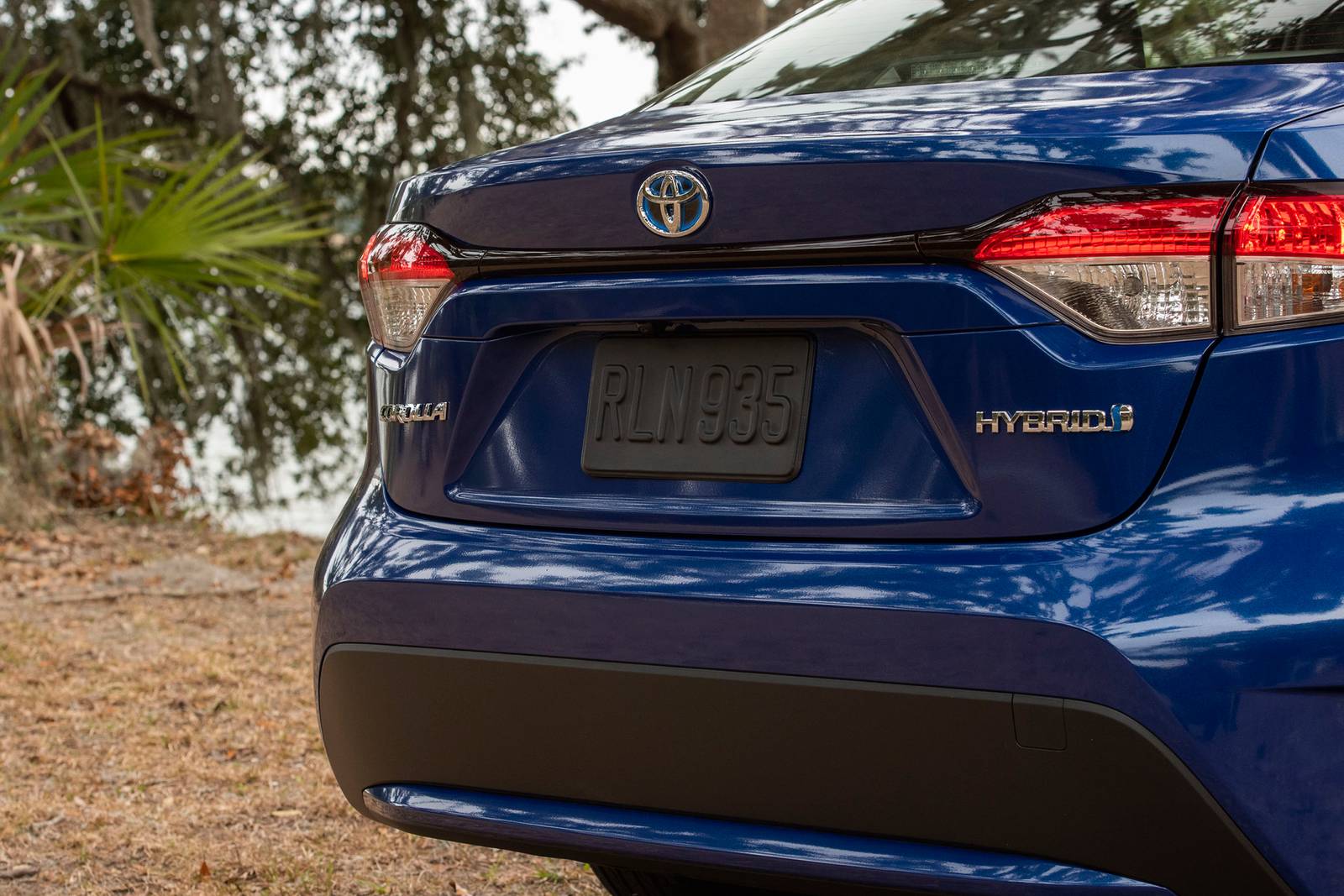 2020 Toyota Corolla exterior RBDG