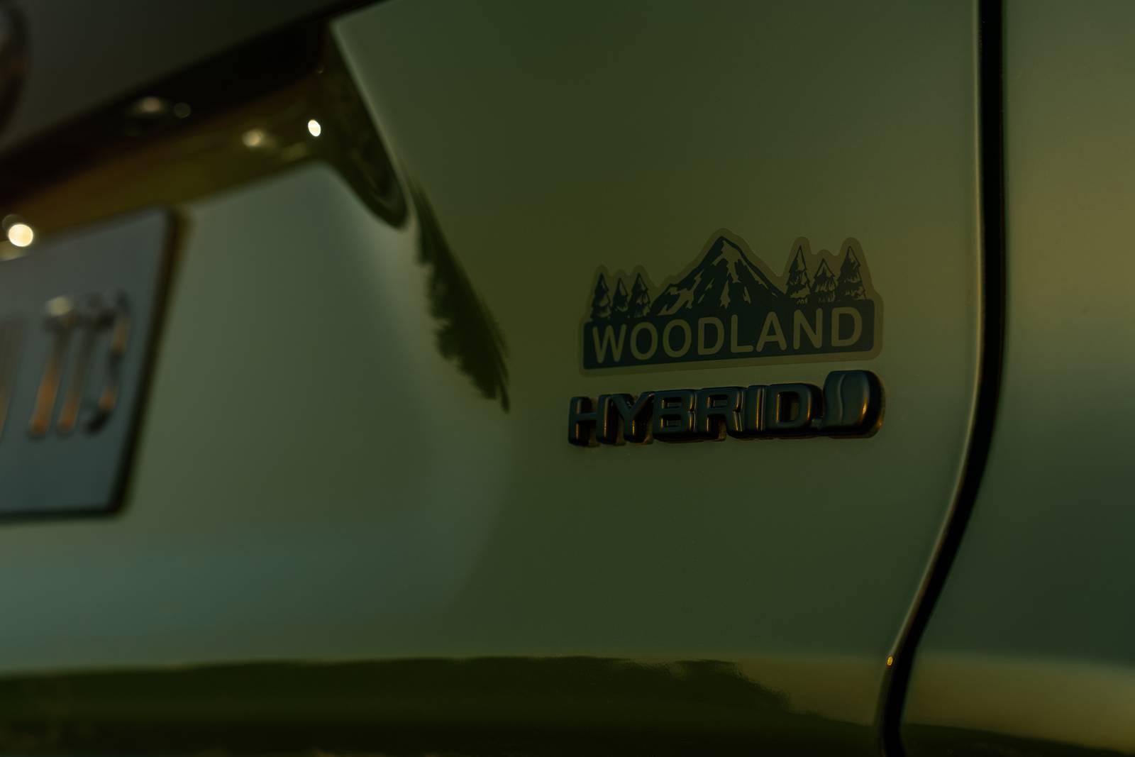 2024 Toyota Rav4 exterior RBDG