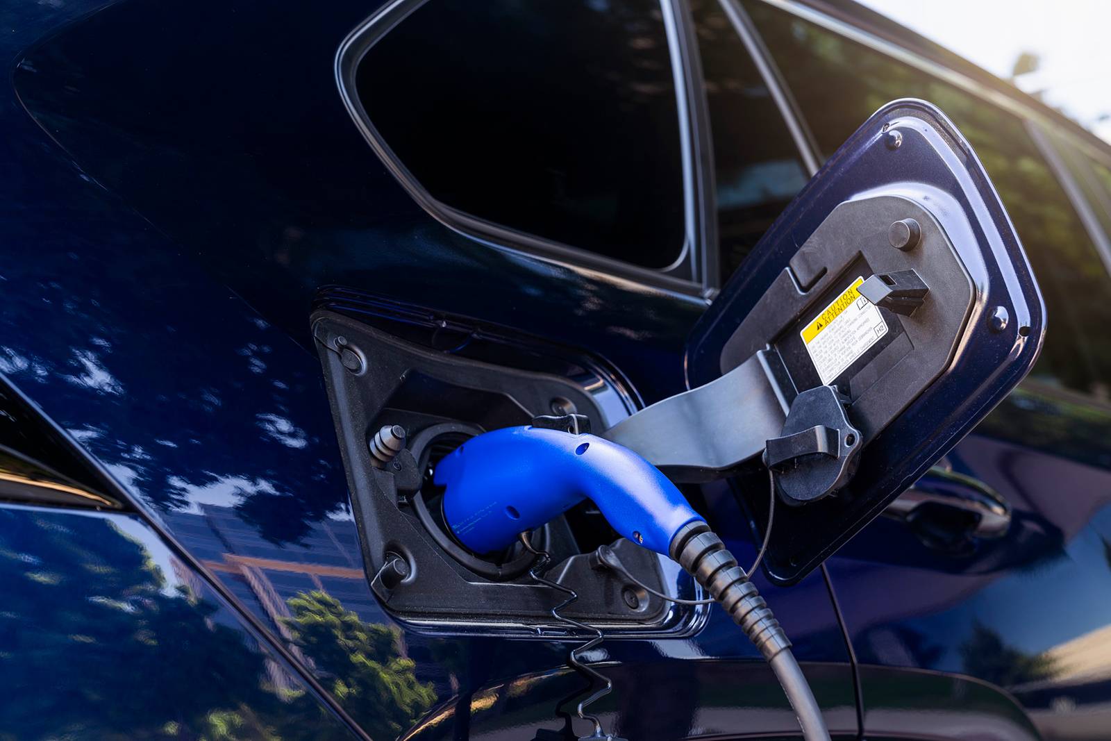 2021 Toyota Rav4 exterior EDETAIL