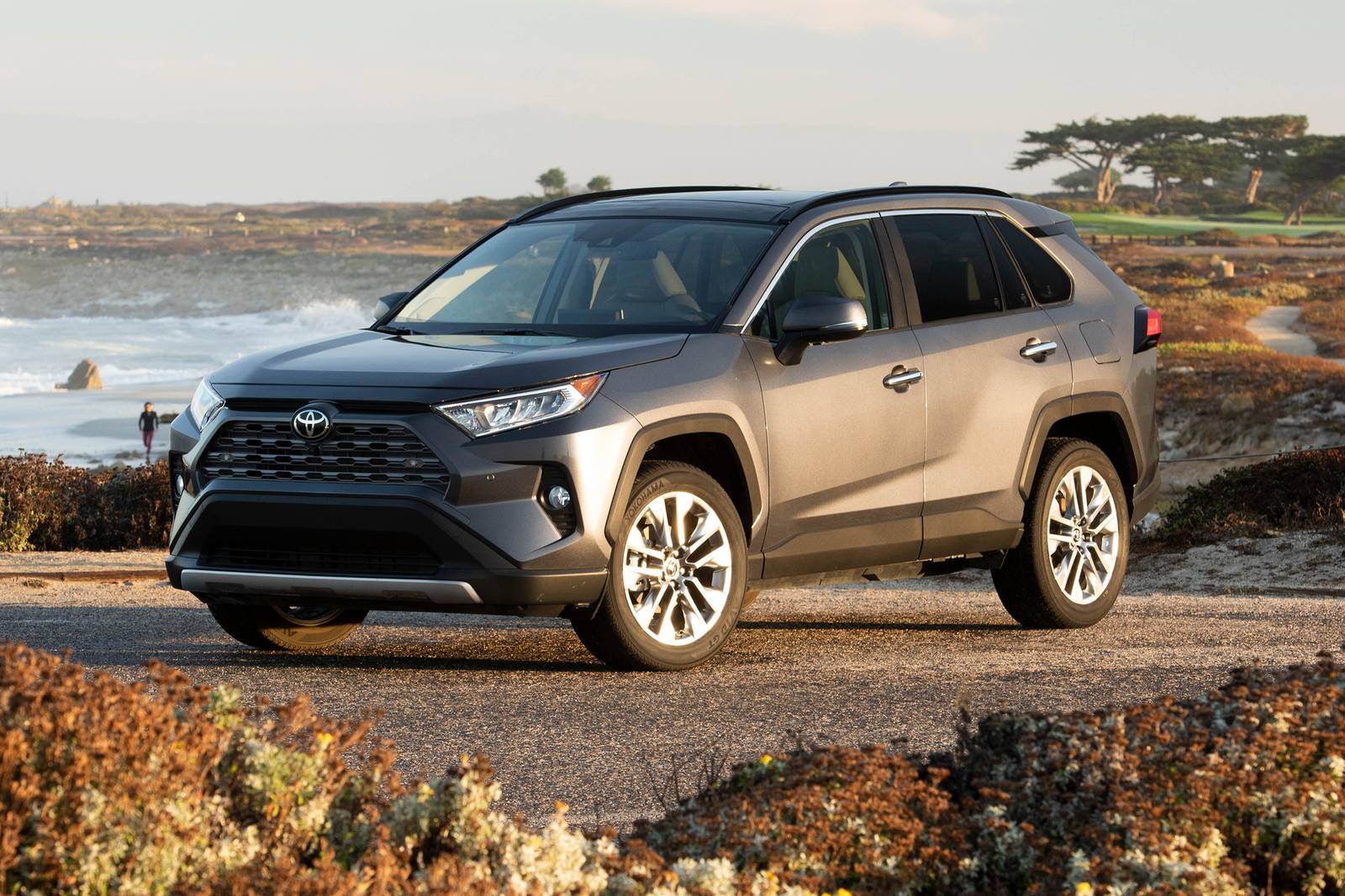 Toyota RAV4 Limited 4dr SUV Exterior Shown